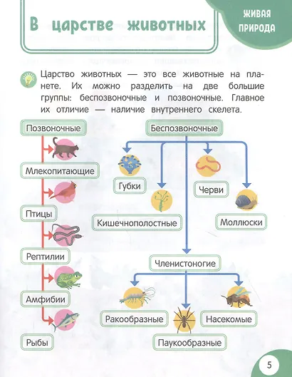 Моя первая книга открытий: для детей от 5 лет - фото 4