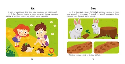 Лес: энциклопедия для малышей в картинках - фото 2