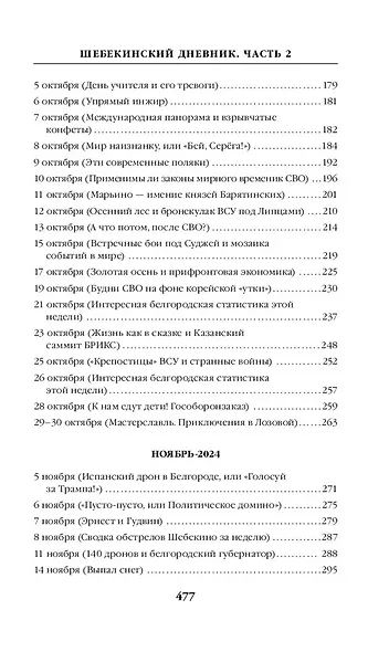 Шебекинский дневник-2. Я вам расскажу о Шебекино смелом - фото 6