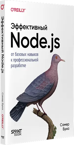 Эффективный Node.js: От базовых навыков к профессиональной разработке - фото 3