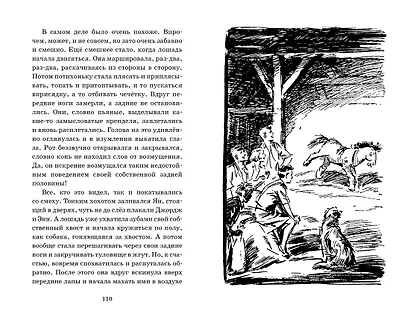Тайна заброшенного маяка. Книга 12 - фото 8