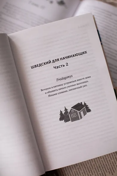 Чисто шведские убийства. Деревушка с секретами - фото 11