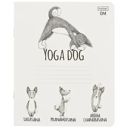 Тетрадь в клетку Hatber «Animals Yoga» в ассортименте, 24 листа - фото 5