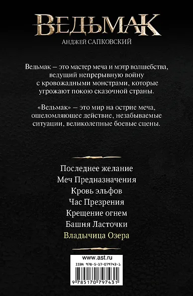 Ведьмак. Владычица Озера - фото 2