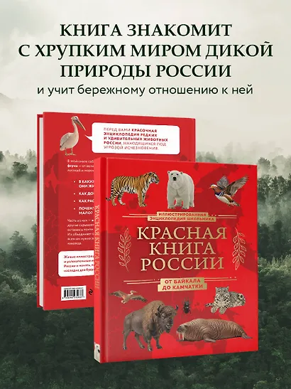 Красная книга России. От Байкала до Камчатки. Иллюстрированная энциклопедия школьника (48 стр.) - фото 6