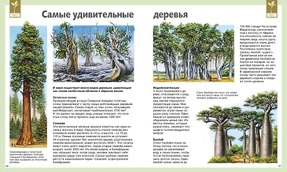 Универсальная школьная энциклопедия - фото 7