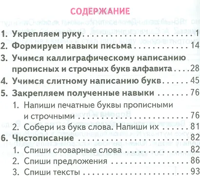Русский язык. 1 класс. Тренажёр - фото 2