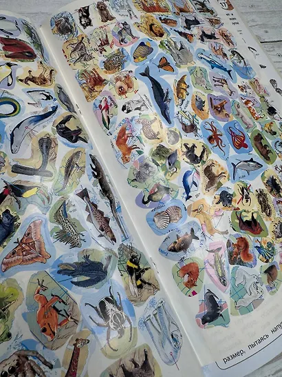 Животные. Мой первый атлас с наклейками - фото 7