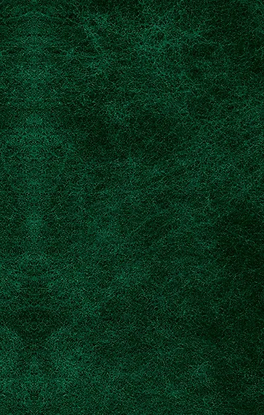 Тайна Желтой комнаты : романы - фото 2