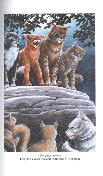 Опасная тропа. Битва за лес - фото 11