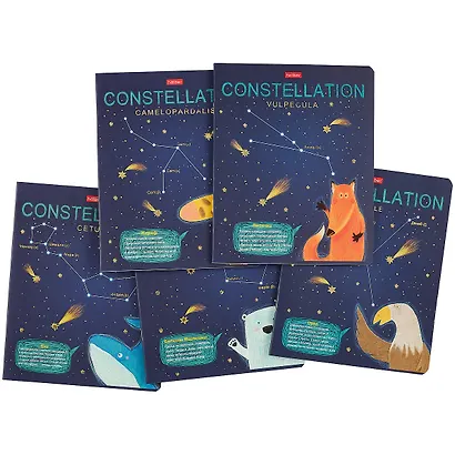 Тетрадь в клетку Hatber, "Приходи считать звезды", 48 листов, в ассортименте - фото 7