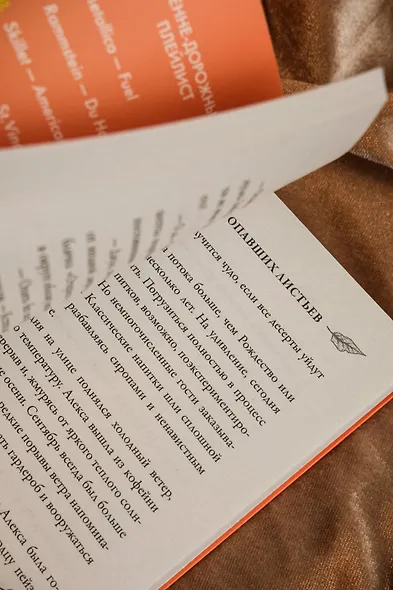 Мелодия опавших листьев - фото 11