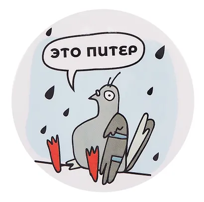 Зеркало Виды СПб Голубь под дождём (Город Ангела) - фото 2