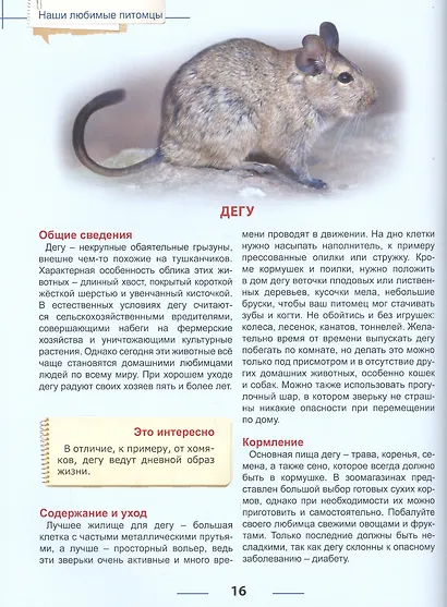 Энциклопедия для детей наши любимые питомцы - фото 5