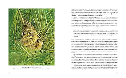 Иллюстрированная история орнитологии - фото 3