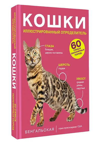 Кошки. 60 самых популярных пород. Иллюстрированный определитель - фото 3