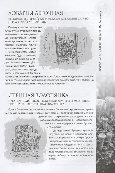 Необычная жизнь обычных растений - фото 7