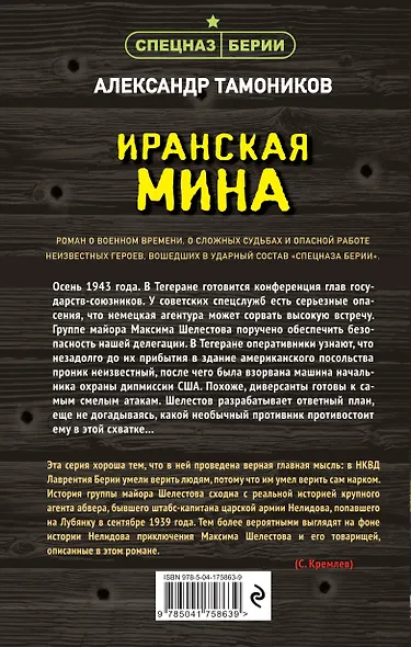 Иранская мина - фото 2