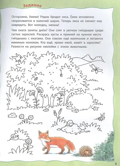 Кто живёт на опушке? - фото 3