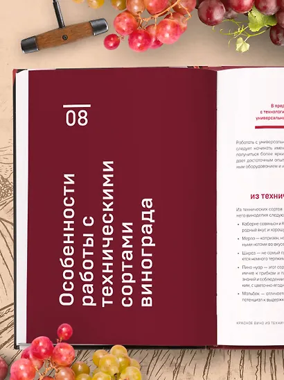 Домашнее виноделие от А до Я: виноградное вино. Пошаговое руководство - фото 11