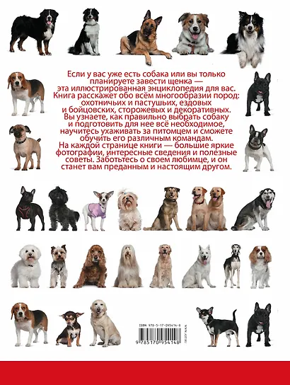 Собаки - фото 2