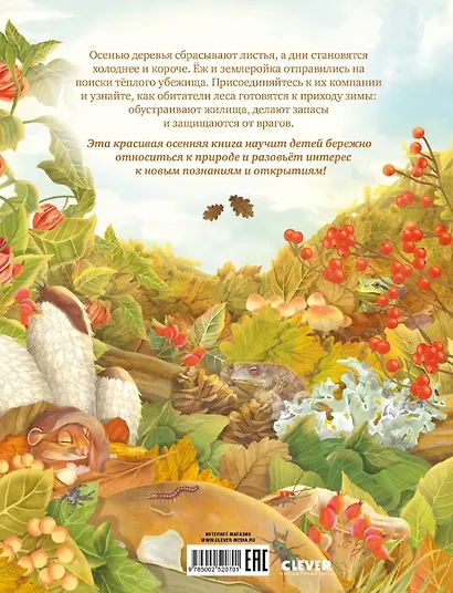 Секреты осеннего леса. Визуальная энциклопедия - фото 2