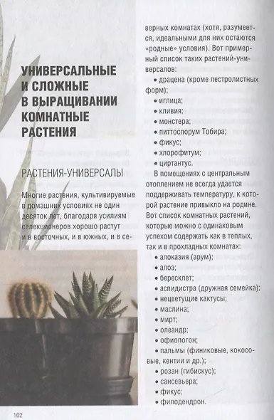 Все о комнатных растениях - фото 4