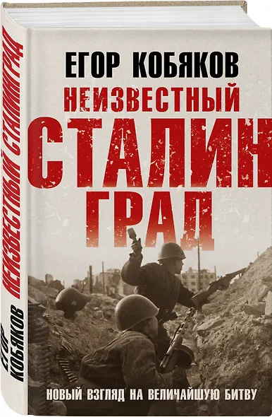 Неизвестный Сталинград. Новый взгляд на величайшую битву - фото 3