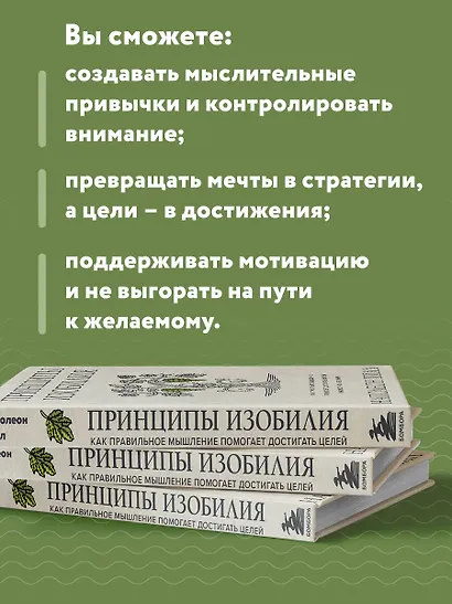 Принципы изобилия. Как правильное мышление помогает достигать целей и исполнять желания - фото 6