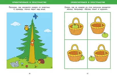 Большая книга тестов (3-4 года) - фото 9
