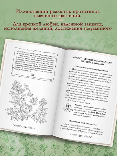 Славянские колдовские травы из сказок и легенд в реальной жизни. Магические свойства, обереги и талисманы - фото 6