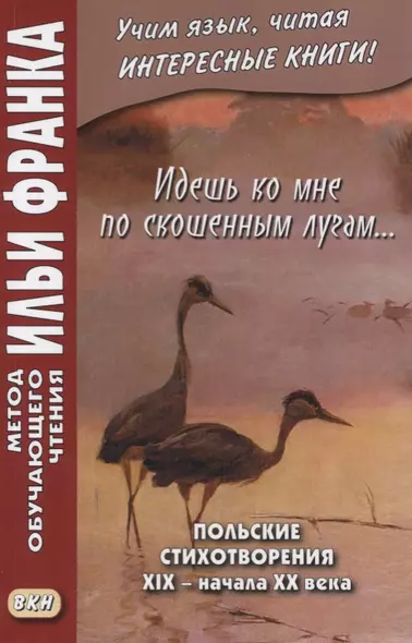 Идешь ко мне по скошенным лугам… Польские стихотворения XIX — начала XX века - фото 1