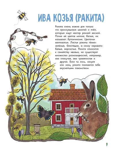 Деревья - фото 12