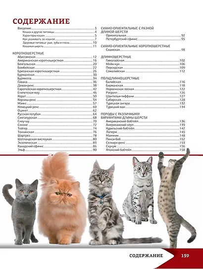 Самая лучшая иллюстрированная энциклопедия. Кошки - фото 4