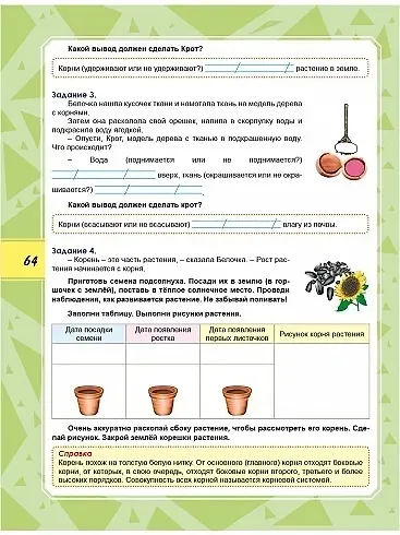 Функциональная грамотность. 2 класс. Тренажёр для школьников - фото 8