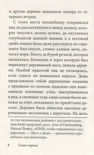 Волшебник Боландского леса - фото 4