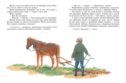 Рассказы о животных (ил. С. Ярового) - фото 4