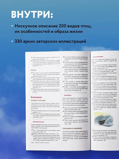 Каково быть птицей: о полетах и гнездовании, кормлении и пении. Как и чем живут самые известные птицы на земле - фото 6