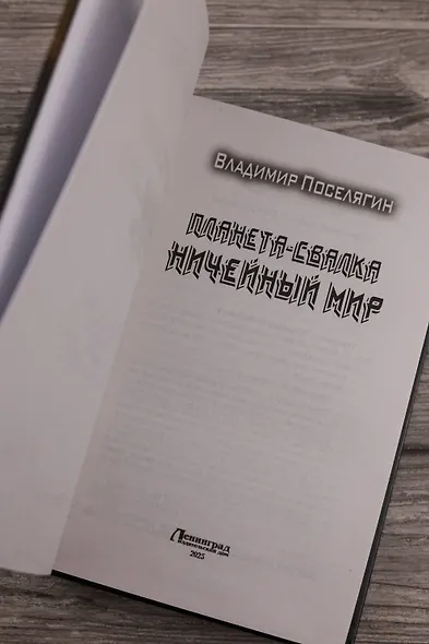 Планета-Свалка. Ничейный мир - фото 7