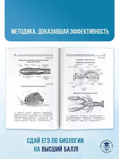 ЕГЭ. Биология. Полный курс в таблицах и схемах для подготовки к ЕГЭ - фото 7