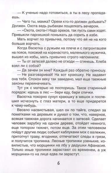 Конь с розовой гривой. Рассказы - фото 6