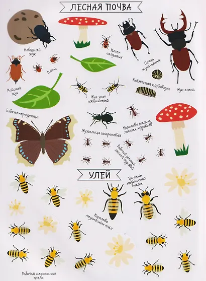 Насекомые. Моя первая книга наклеей - фото 5