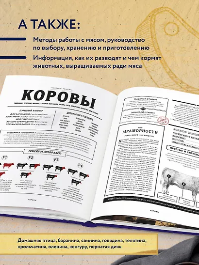 Мясо. Полное руководство: на ферме, у мясника, на кухне (оф. синее с золотом) - фото 5