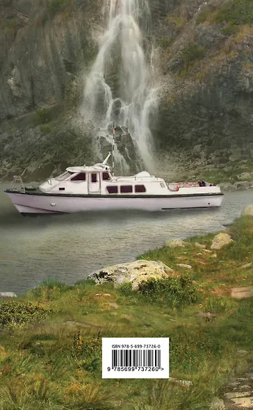 Невменяемый отшельник : роман - фото 2