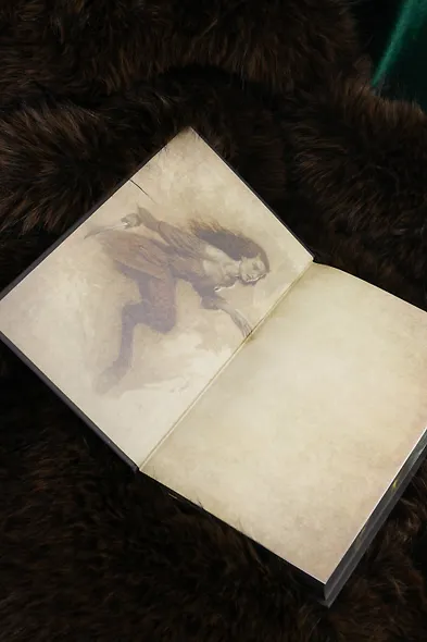 Косиног: История о колдовстве - фото 13