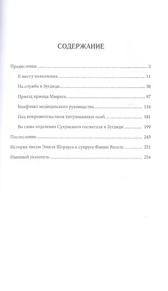 Моя дорогая Фанничка Русско-турецкая война 1877-1878 г… (м) (Штраус) - фото 2