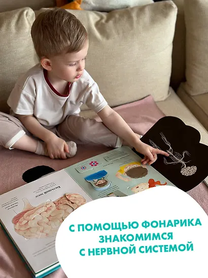 Все секреты человека - фото 9
