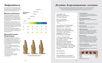 Wine Folly. Издание Магнум, детализированное - фото 8