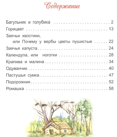 Сказки с лесной полянки - фото 2