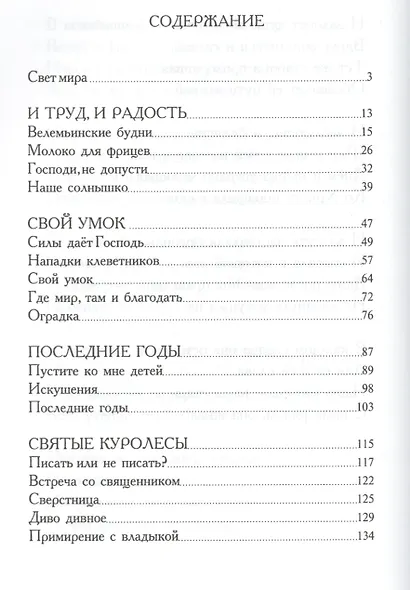 Матушка Феодосия. Рассказы о скопинской старице - фото 2